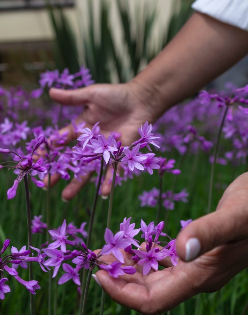 Flores moradas y manos de Milena Ortiz